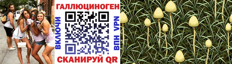 Галлюциногенные грибы Cubensis  закладки  Кологрив 